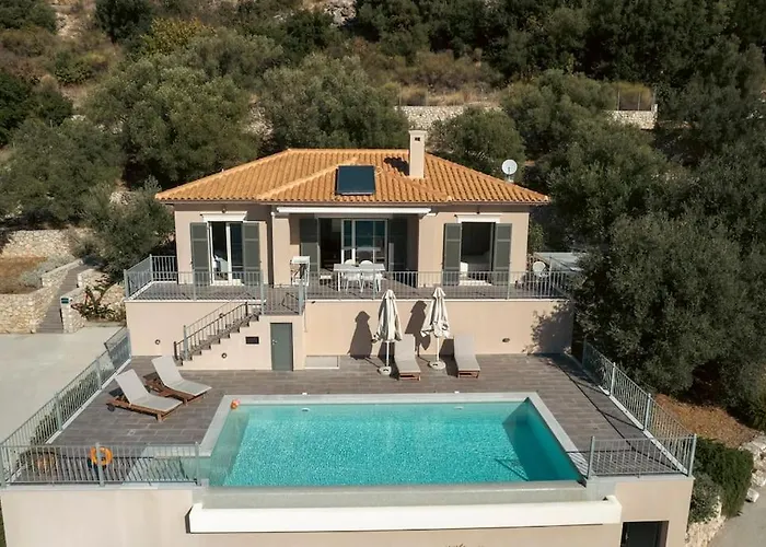 Olive Grove